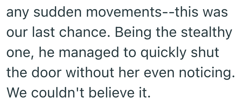 any sudden movements--this was our last chance. Being the stealthy one, he managed to quickly shut the door without her even noticing. We couldn't believe it.