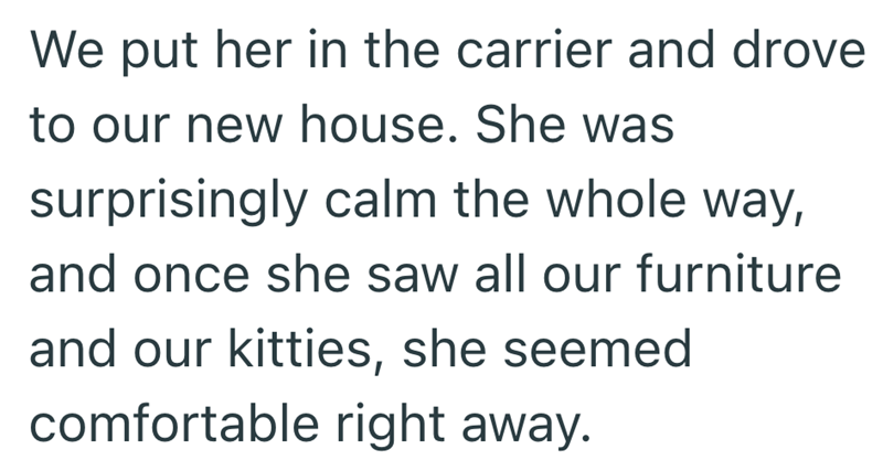 We put her in the carrier and drove to our new house. She was surprisingly calm the whole way, and once she saw all our furniture and our kitties, she seemed comfortable right away.