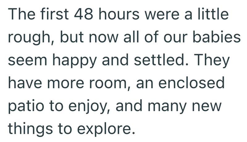 The first 48 hours were a little rough, but now all of our babies seem happy and settled. They have more room, an enclosed patio to enjoy, and many new things to explore.