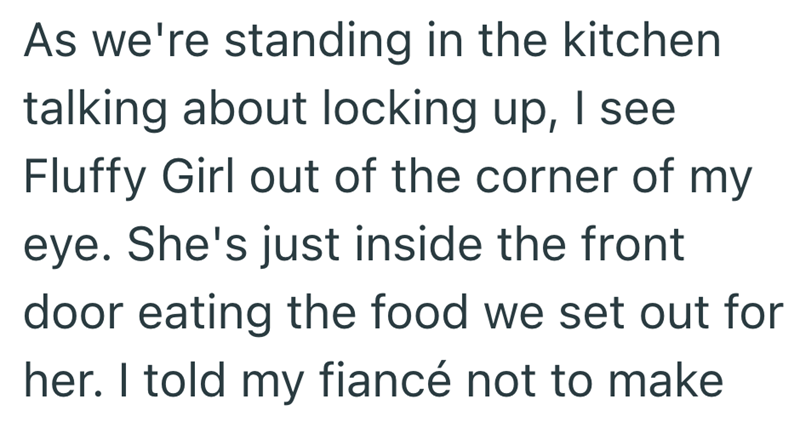 As we're standing in the kitchen talking about locking up, I see Fluffy Girl out of the corner of my eye. She's just inside the front door eating the food we set out for her. I told my fiancé not to make