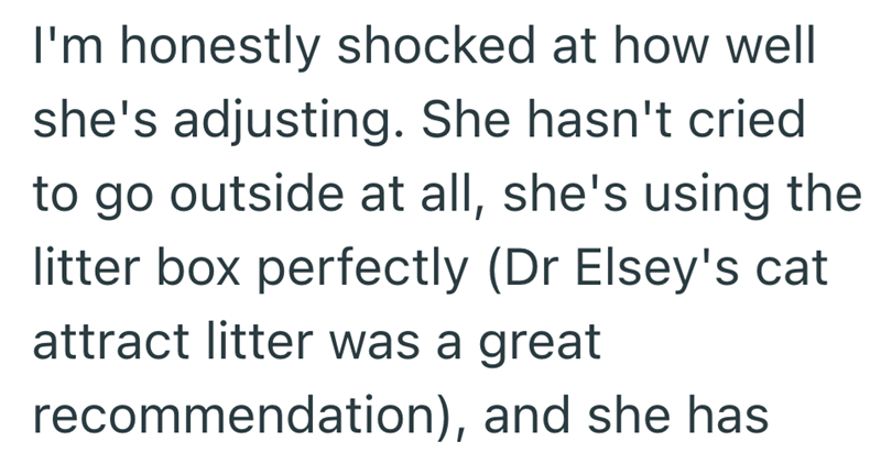I'm honestly shocked at how well she's adjusting. She hasn't cried to go outside at all, she's using the litter box perfectly (Dr Elsey's cat attract litter was a great recommendation), and she has