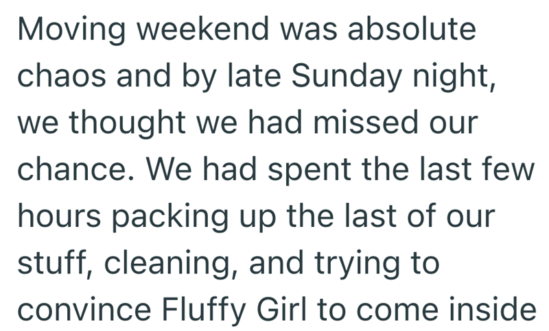 Moving weekend was absolute chaos and by late Sunday night, we thought we had missed our chance. We had spent the last few hours packing up the last of our stuff, cleaning, and trying to convince Fluffy Girl to come inside