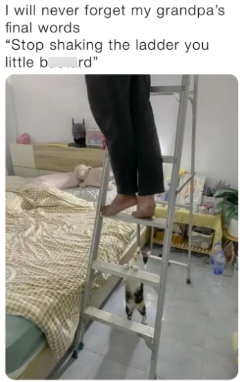 I will never forget my grandpa's final words "Stop shaking the ladder you little b rd"