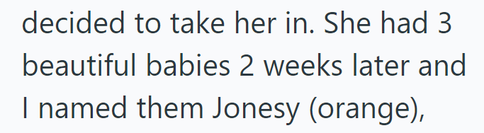 decided to take her in. She had 3 beautiful babies 2 weeks later and I named them Jonesy (orange),