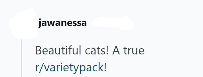 jawanessa Beautiful cats! A true r/varietypack!