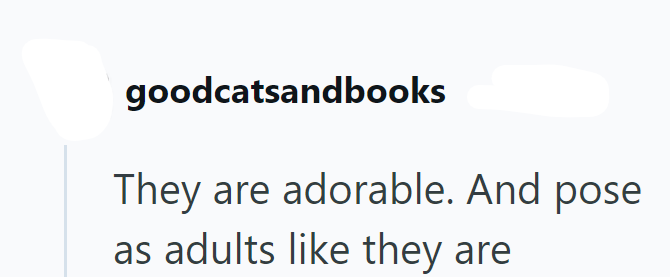 goodcatsandbooks They are adorable. And pose as adults like they are
