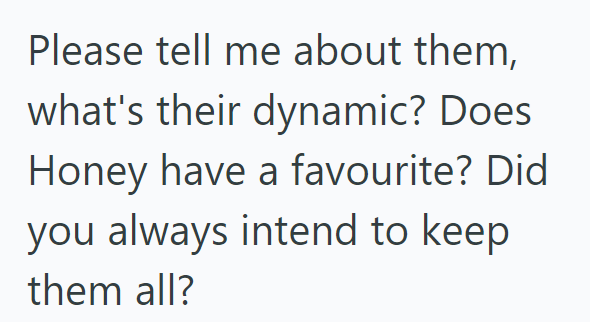 Please tell me about them, what's their dynamic? Does Honey have a favourite? Did you always intend to keep them all?