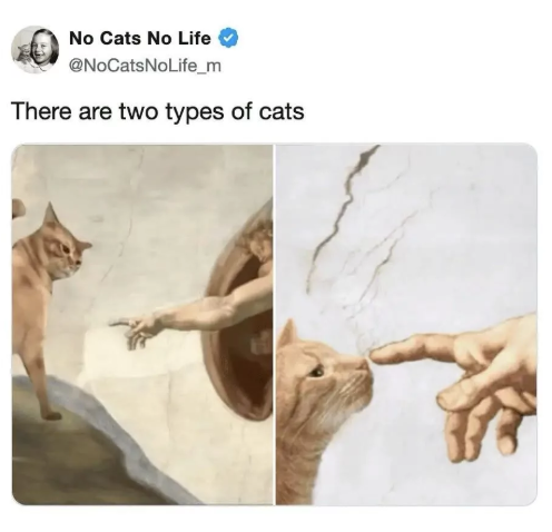 No Cats No Life @NoCatsNoLife_m There are two types of cats