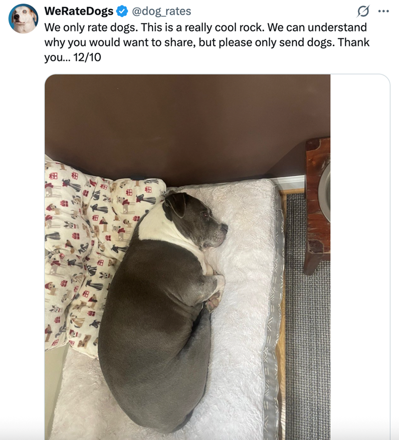 WeRateDogs @dog_rates We only rate dogs. This is a really cool rock. We can understand why you would want to share, but please only send dogs. Thank you... 12/10 ...