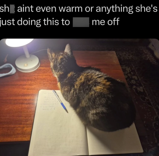 sho aint even warm or anything she's just doing this to me off