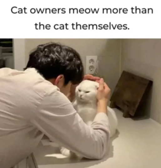 Cat owners meow more than the cat themselves.