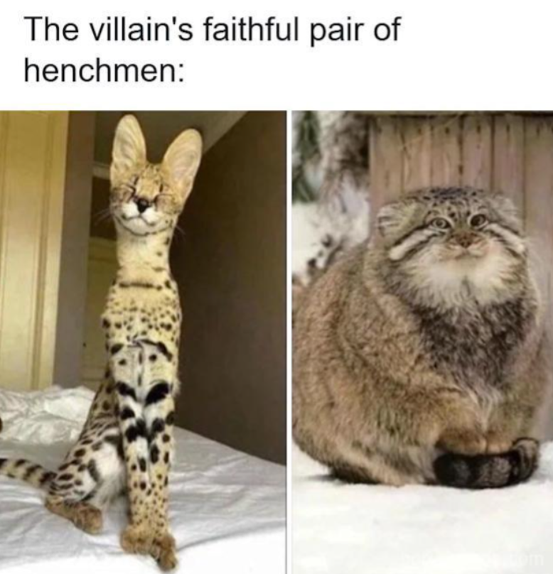 The villain's faithful pair of henchmen: