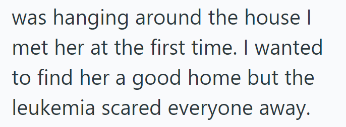 was hanging around the house | met her at the first time. I wanted to find her a good home but the leukemia scared everyone away.