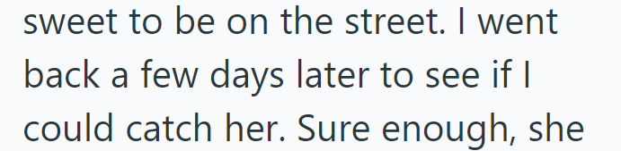 sweet to be on the street. I went back a few days later to see if I could catch her. Sure enough, she