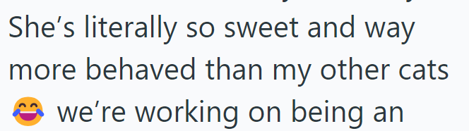 She's literally so sweet and way more behaved than my other cats we're working on being an