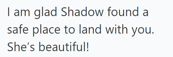 I am glad Shadow found a safe place to land with you. She's beautiful!