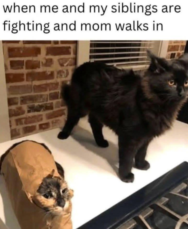 when me and my siblings are fighting and mom walks in