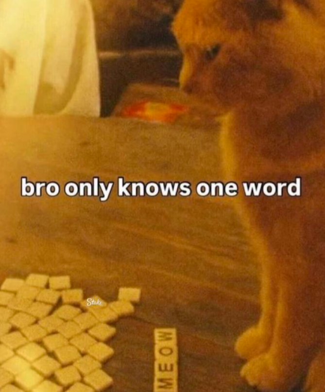 bro only knows one word Stake MEOW