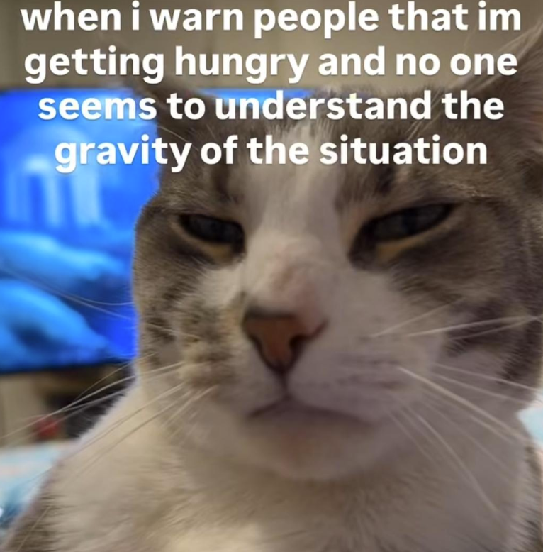 when i warn people that im getting hungry and no one seems to understand the gravity of the situation