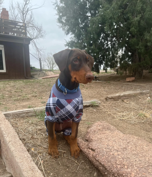 Cheezburger Image 10616523008