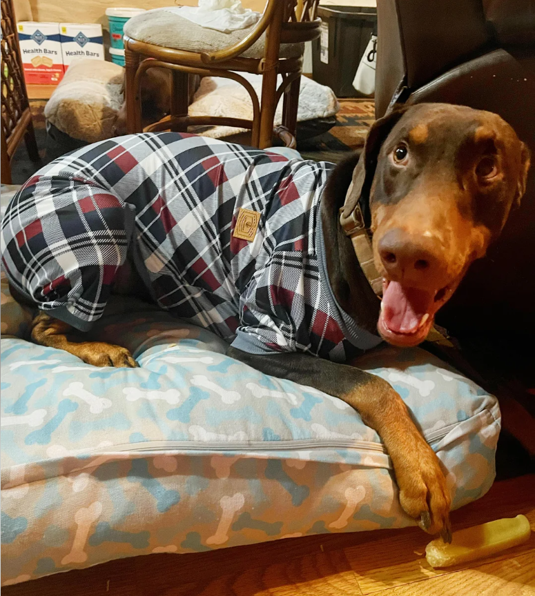 Health Bars Health Bars