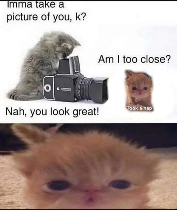 Imma take a picture of you, k? Am I too close? Took a nap Nah, you look great!