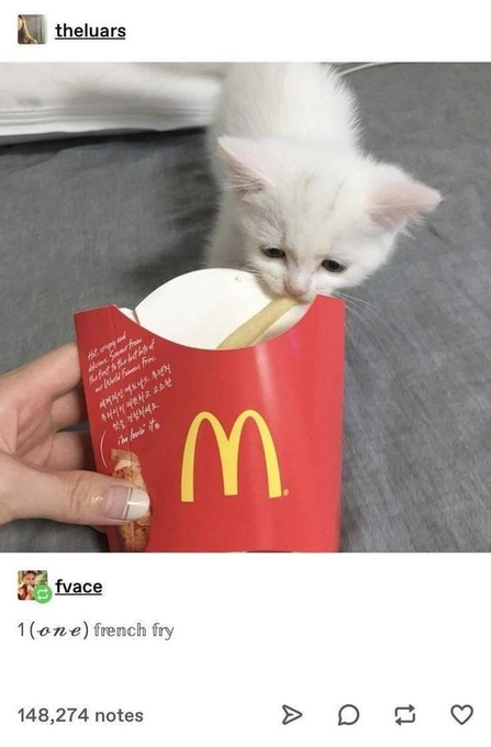 fvace 1 (one) french fry doms. Same from the first to the bit hit of Whold Fas Free 세계적인 맥도날드 후렌지 후타이치 파뜻하고 고소한 것을 경험하세요. 3 148,274 notes > > DF 3 theluars