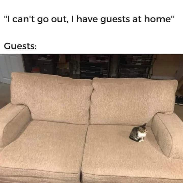 "I can't go out, I have guests at home" Guests: