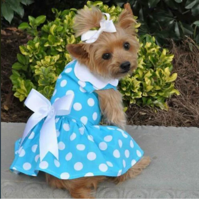 Cheezburger Image 10616532736