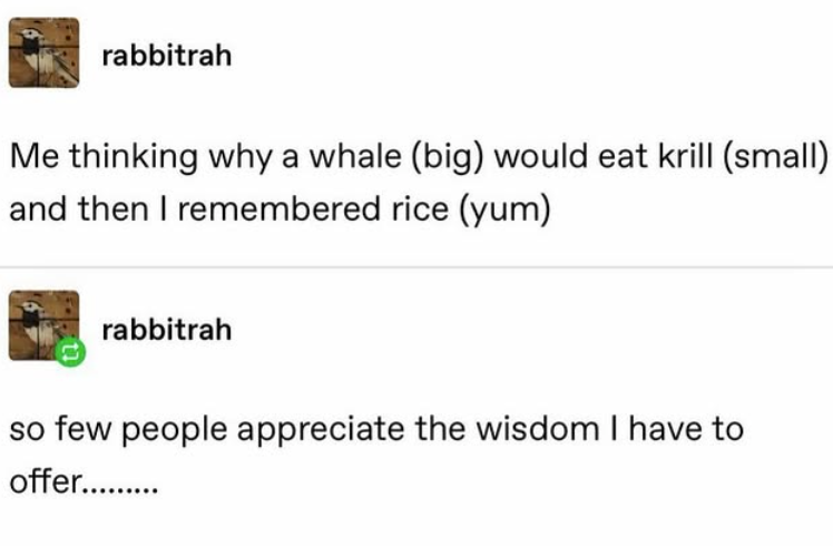 rabbitrah Me thinking why a whale (big) would eat krill (small) and then I remembered rice (yum) rabbitrah so few people appreciate the wisdom I have to offer..........
