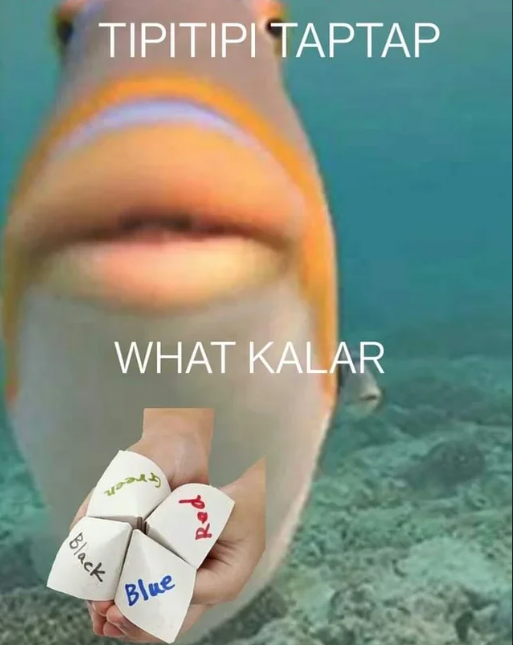 Black TIPITIPI TAPTAP WHAT KALAR འཁོའི་རིད Blue Red