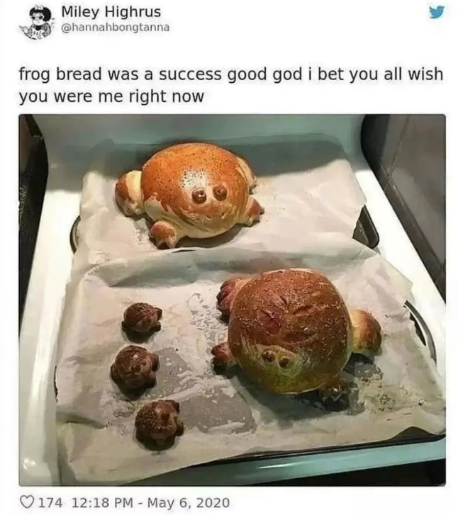 Miley Highrus @hannahbongtanna frog bread was a success good god i bet you all wish you were me right now 174 12:18 PM - May 6, 2020