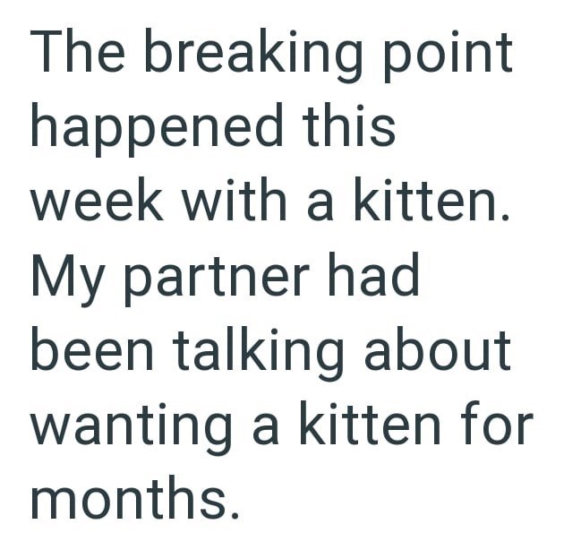The breaking point happened this week with a kitten. My partner had been talking about wanting a kitten for months.