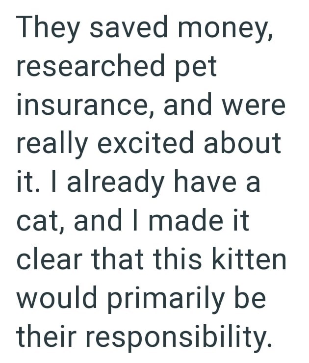 They saved money, researched pet insurance, and were really excited about it. I already have a cat, and I made it clear that this kitten would primarily be their responsibility.