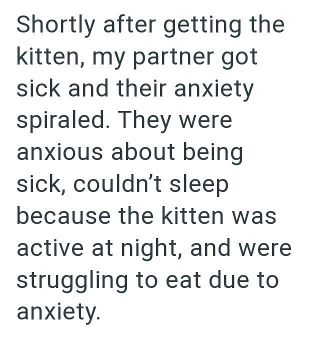Shortly after getting the kitten, my partner got sick and their anxiety spiraled. They were anxious about being sick, couldn't sleep because the kitten was active at night, and were struggling to eat due to anxiety.