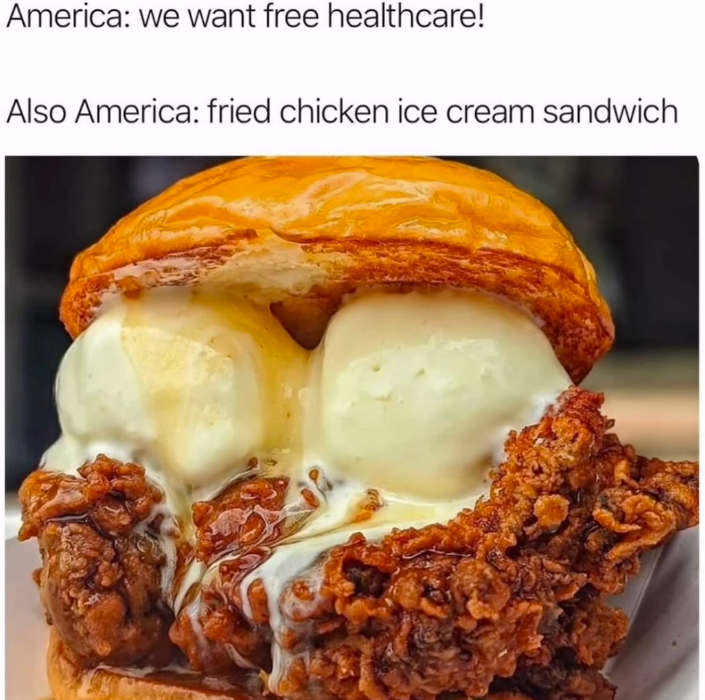 America: we want free healthcare! Also America: fried chicken ice cream sandwich