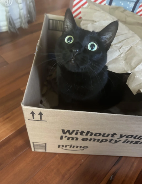 tt Without you I'm empty ins prime