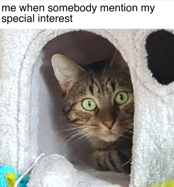 me when somebody mention my special interest