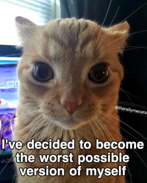 @literallymecats I've decided to become the worst possible version of myself