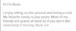 Hi I'm Rock, I enjoy sitting on the ground and being a rock. My favorite candy is pop rocks. Most of my friends are grains of sand so if you don't like sand keep it moving. Rock on!