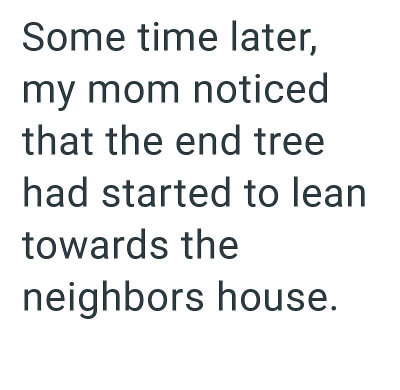Some time later, my mom noticed that the end tree had started to lean towards the neighbors house.