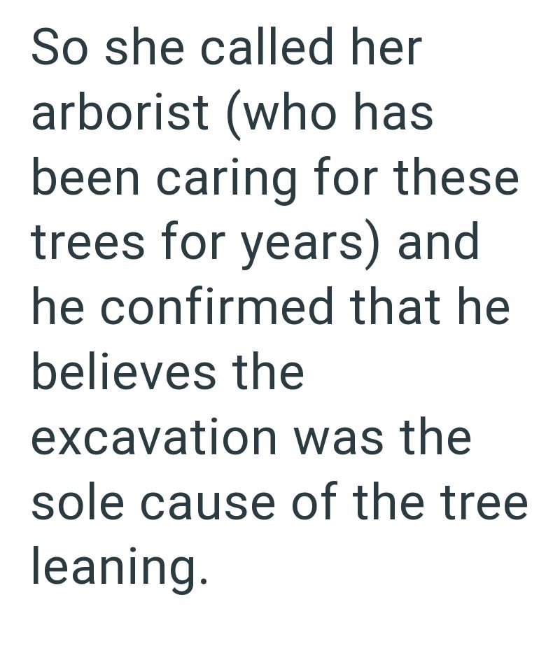 So she called her arborist (who has been caring for these trees for years) and he confirmed that he believes the excavation was the sole cause of the tree leaning.