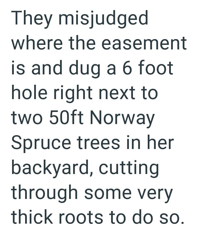 They misjudged where the easement is and dug a 6 foot hole right next to two 50ft Norway Spruce trees in her backyard, cutting through some very thick roots to do so.