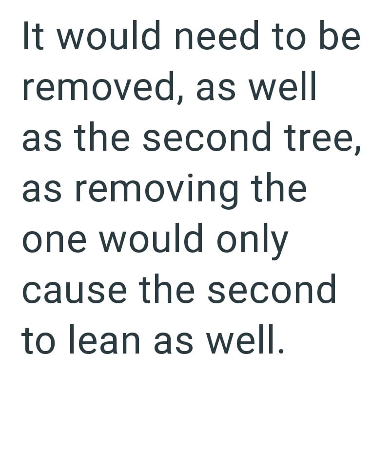 It would need to be removed, as well as the second tree, as removing the one would only cause the second to lean as well.