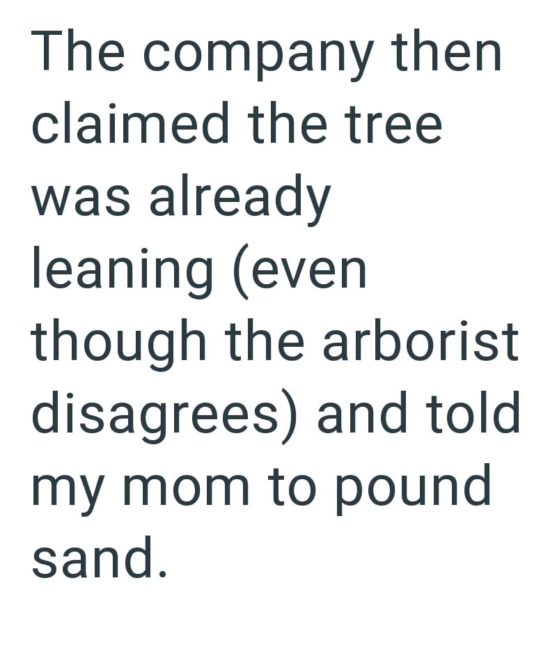 The company then claimed the tree was already leaning (even though the arborist disagrees) and told my mom to pound sand.