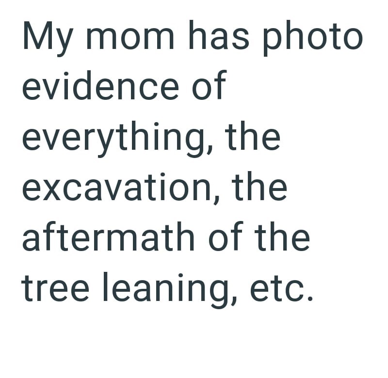 My mom has photo evidence of everything, the excavation, the aftermath of the tree leaning, etc.