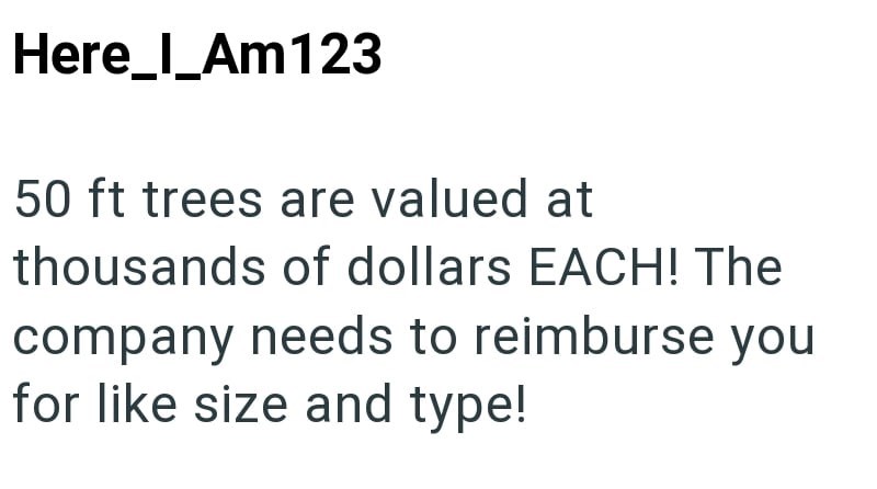 Here_I_Am123 50 ft trees are valued at thousands of dollars EACH! The company needs to reimburse you for like size and type!