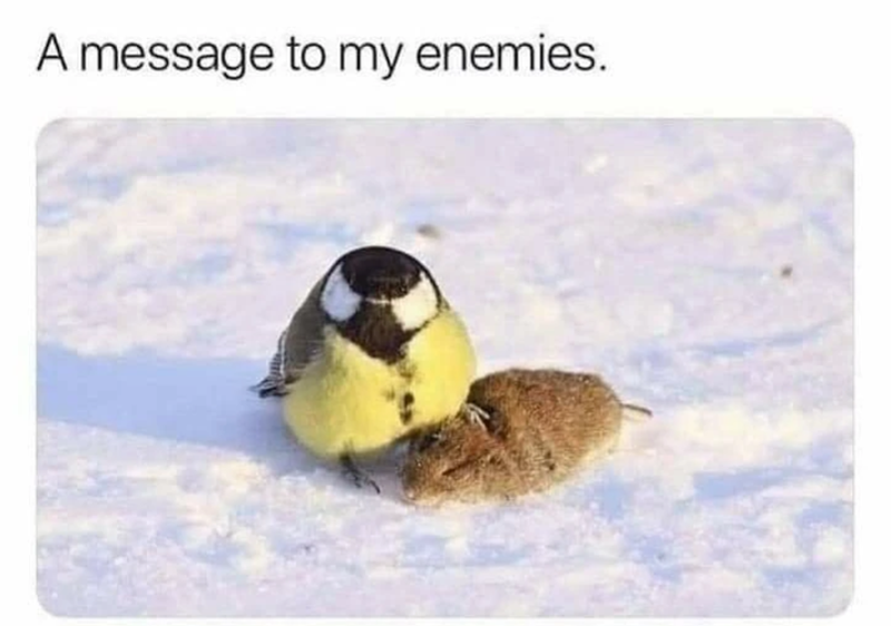 A message to my enemies.