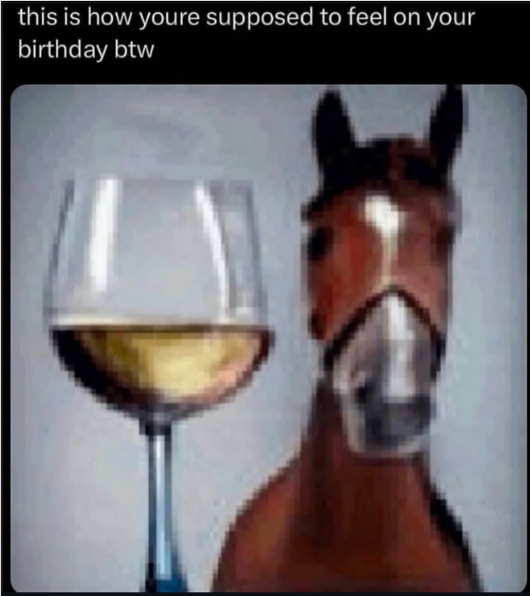 this is how youre supposed to feel on your birthday btw