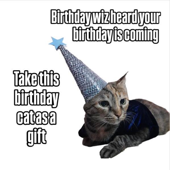 Birthdaywizheard your birthday is coming Take this birthday catasa gift